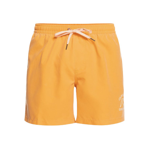 Quiksilver Ανδρικό μαγιό Surfwash 15" - Swim Shorts for Men